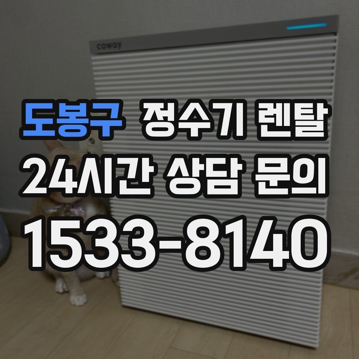 도봉구 정수기 렌탈 설치부터 관리까지 한 번에 정리했습니다