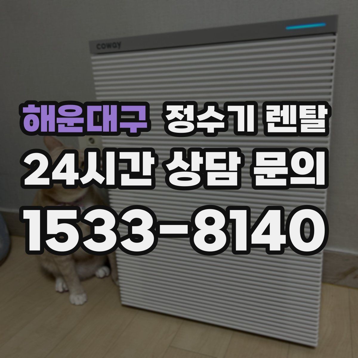해운대구 정수기 렌탈 코크 살균 기능이 실사용에 유리한 이유