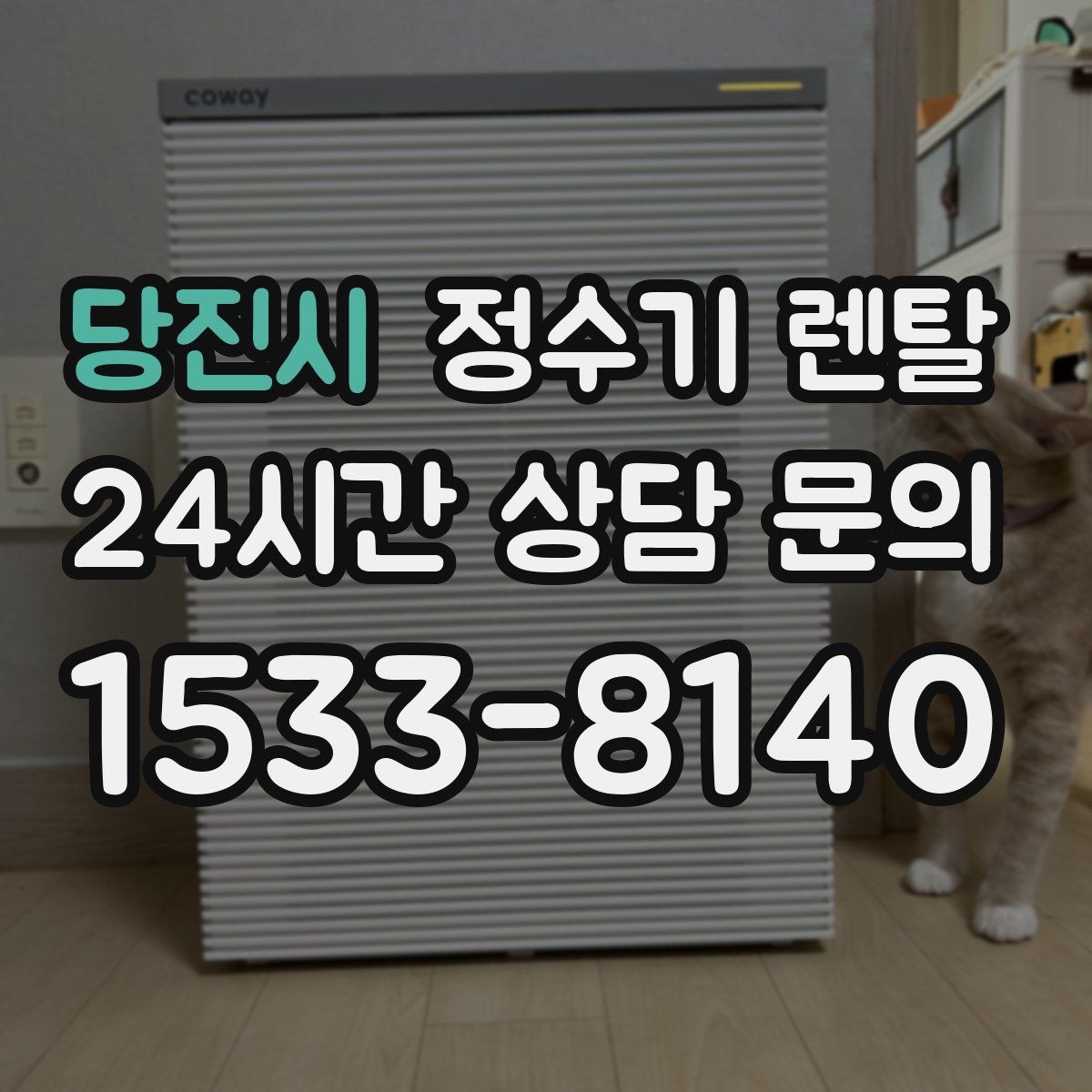 당진시 정수기 렌탈 정수기 주변 물때 곰팡이 예방 팁