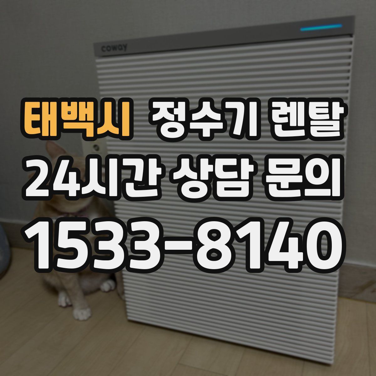 태백시 정수기 렌탈