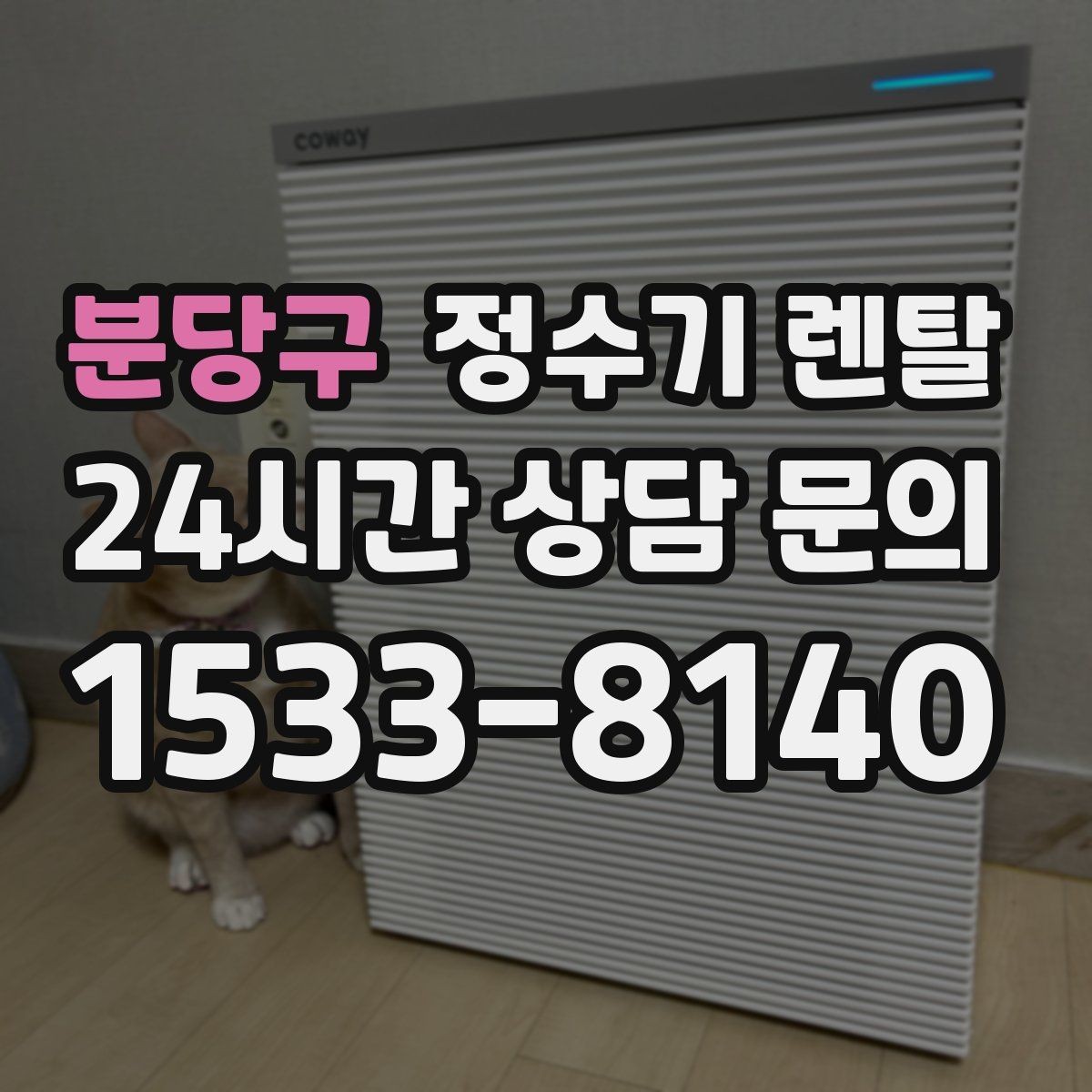 분당구 정수기 렌탈 설치부터 관리까지 한 번에 정리했습니다