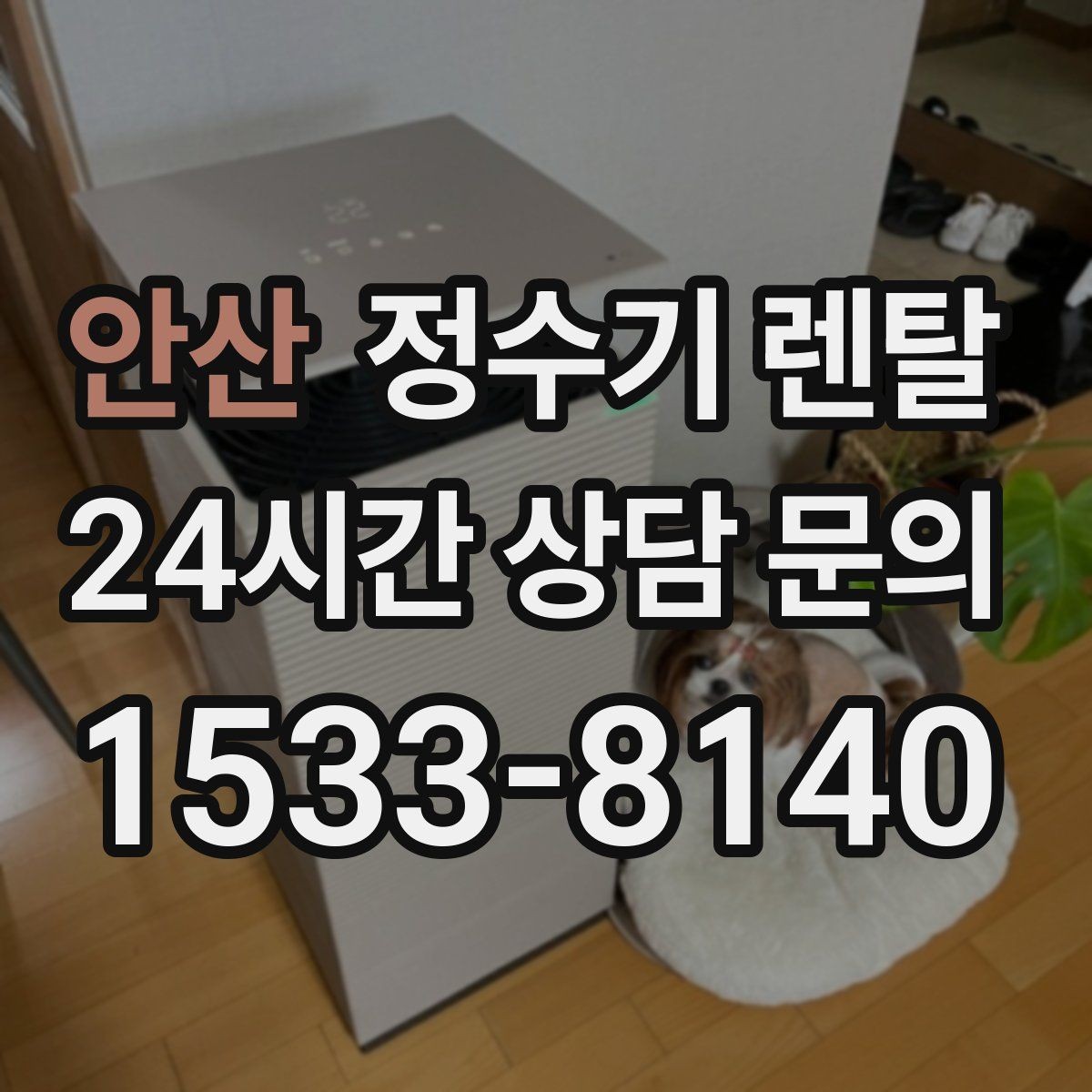 안산 정수기 렌탈 정수 전용이 더 좋은 경우 정리