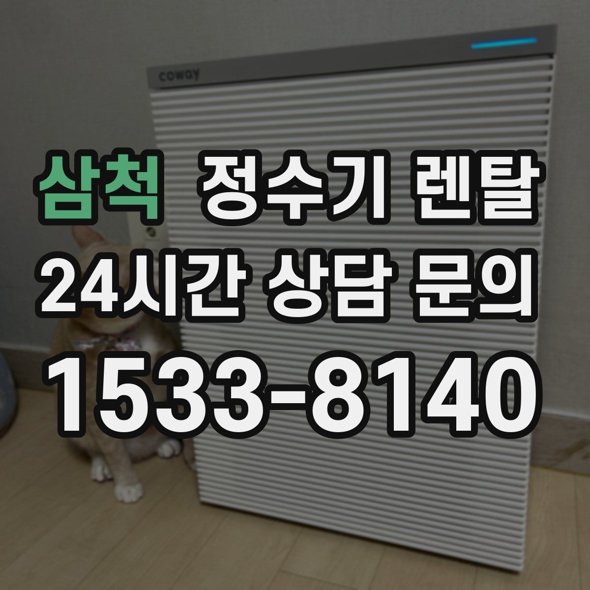 삼척 정수기 렌탈