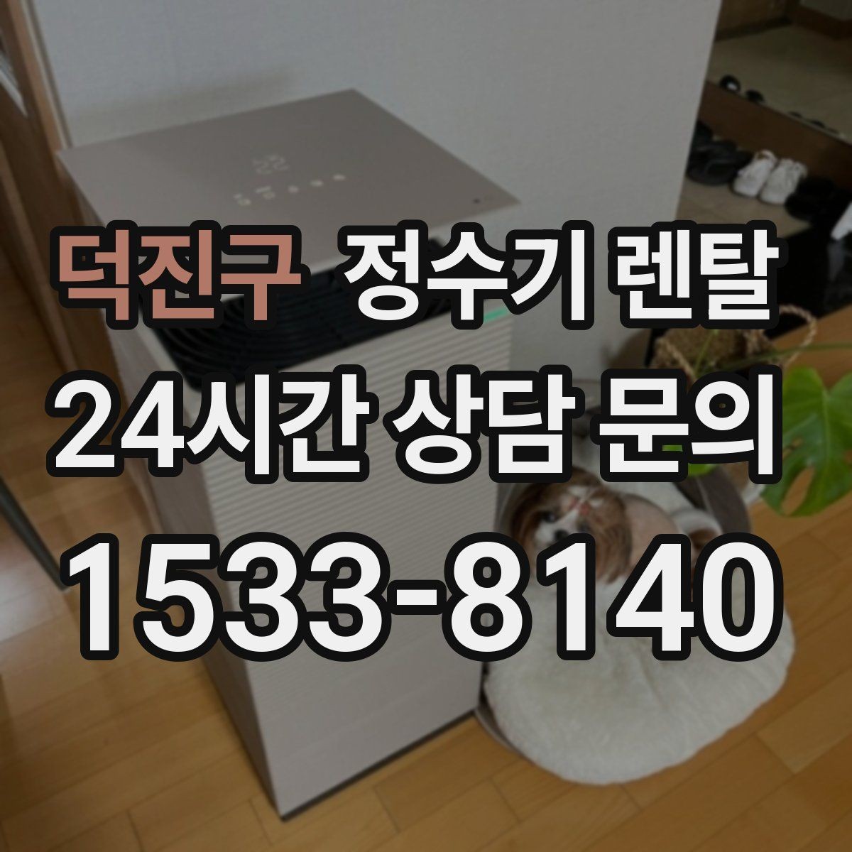 덕진구 정수기 렌탈 설치 후 바로 사용해도 될까