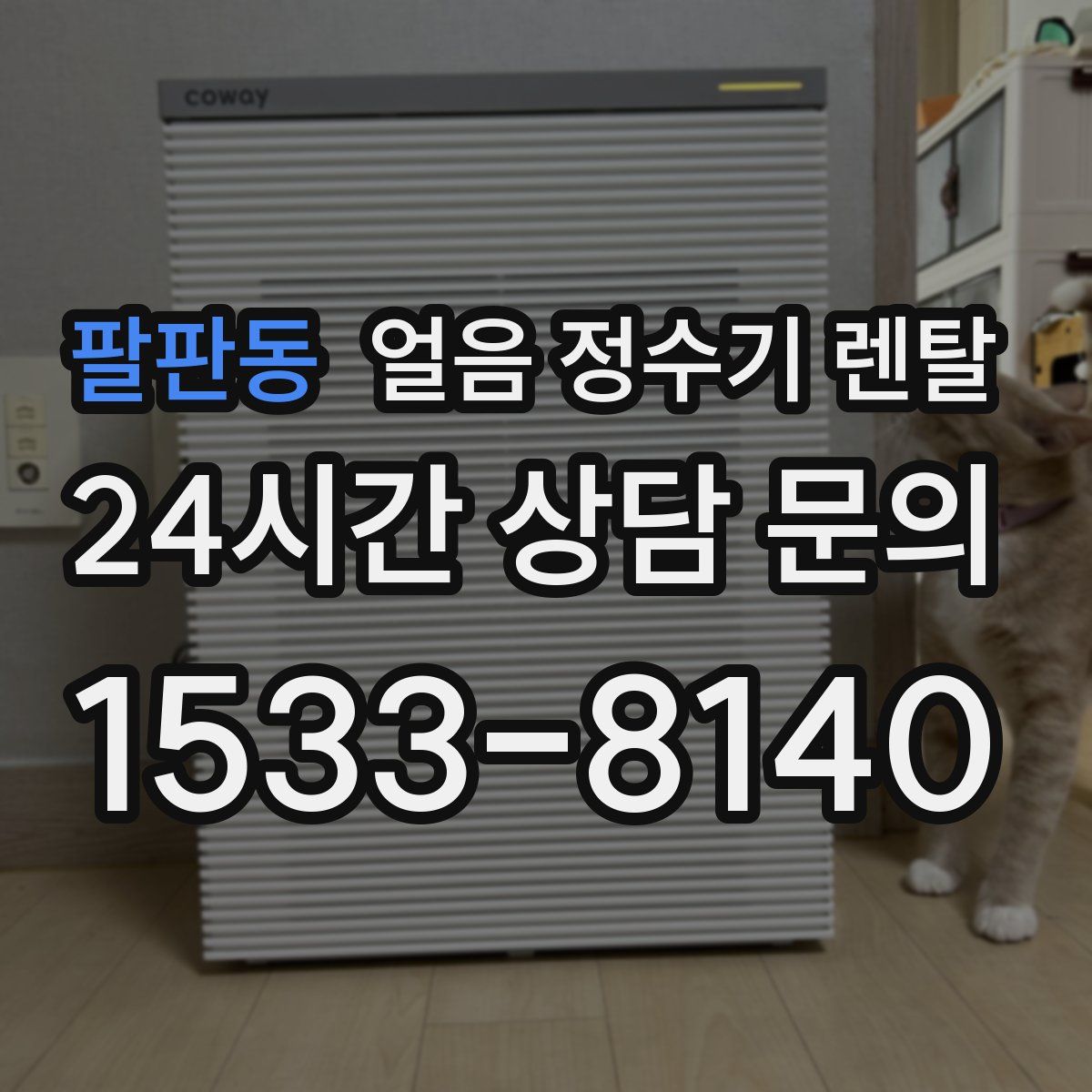 팔판동 얼음 정수기 렌탈