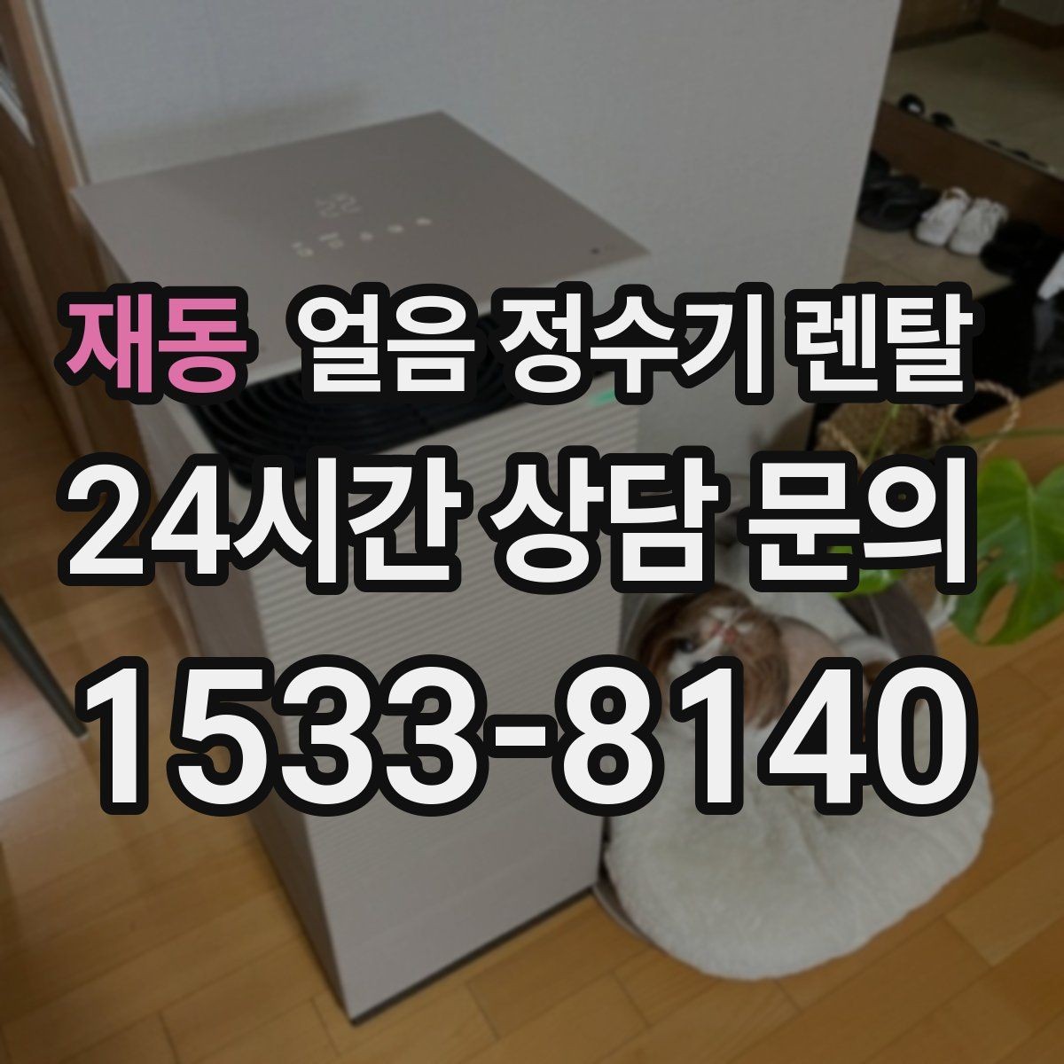 재동 얼음 정수기 렌탈 얼음 출구가 좁으면 생기는 불편