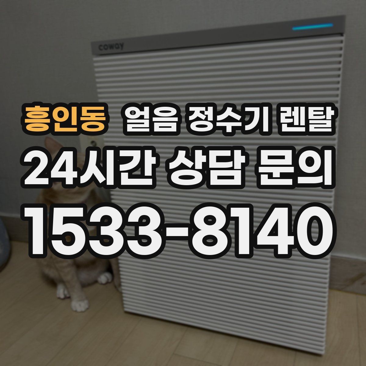 흥인동 얼음 정수기 렌탈 전세 월세에서도 설치 가능한지 조건 정리