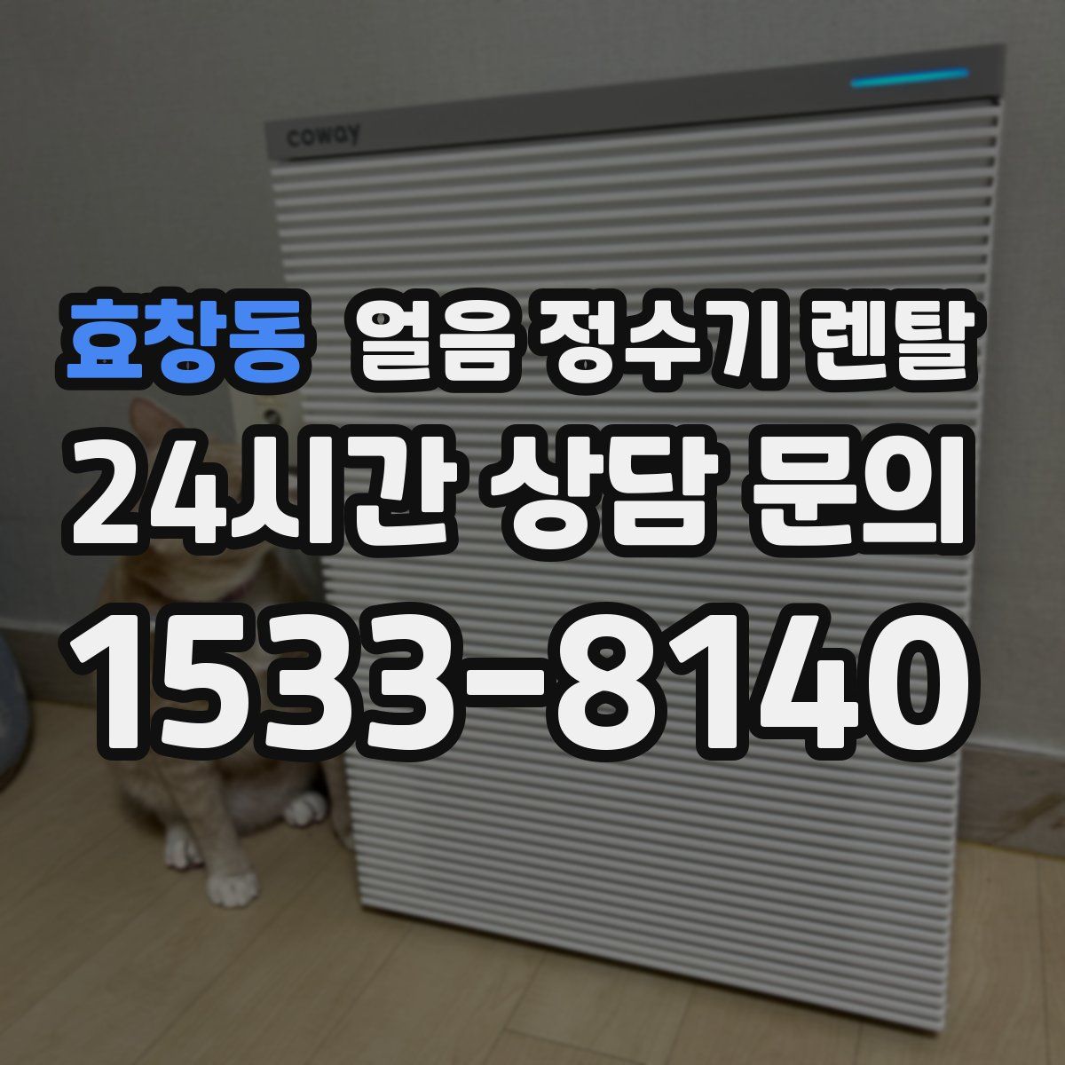 효창동 얼음 정수기 렌탈