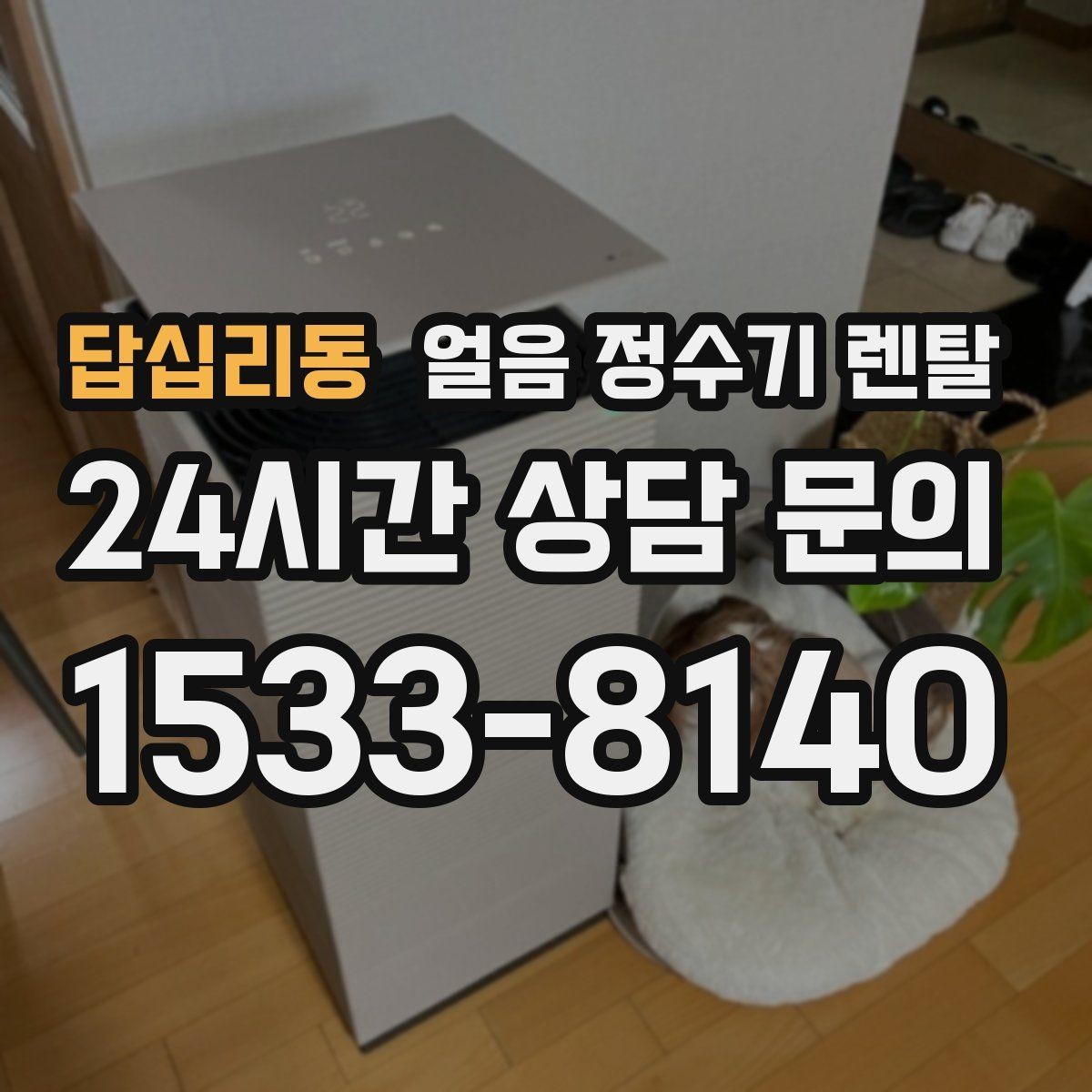 답십리동 얼음 정수기 렌탈 여름엔 물론 겨울에도 찾는 이유