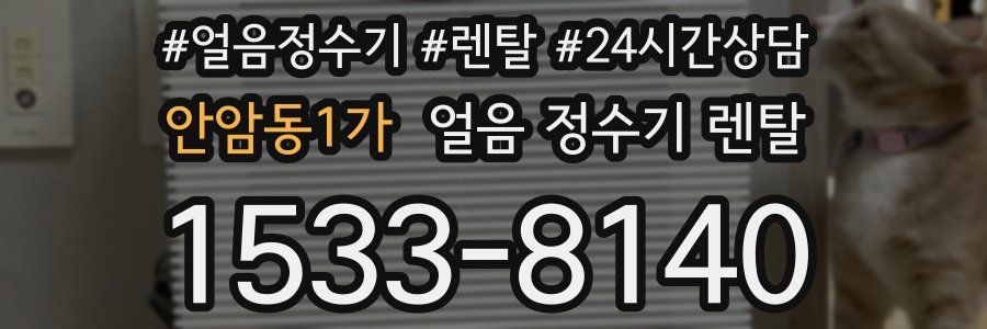 안암동1가 얼음 정수기 렌탈