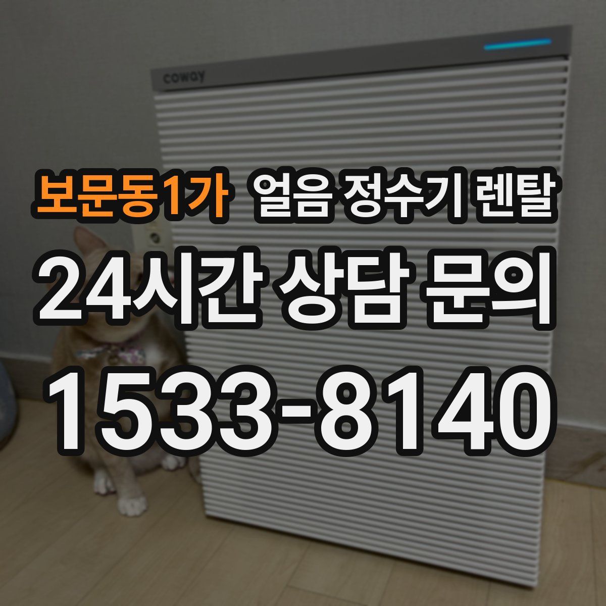 보문동1가 얼음 정수기 렌탈