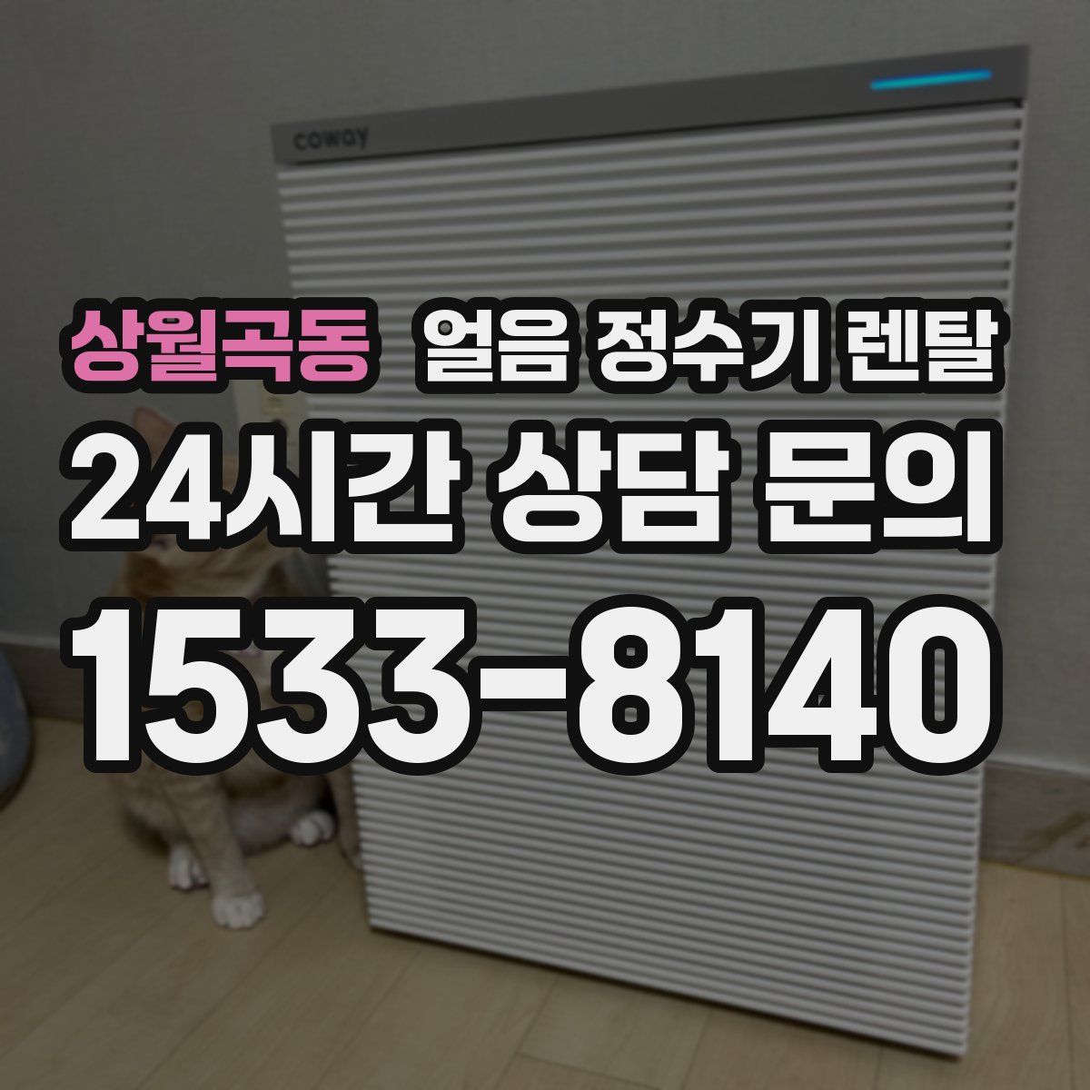 상월곡동 얼음 정수기 렌탈