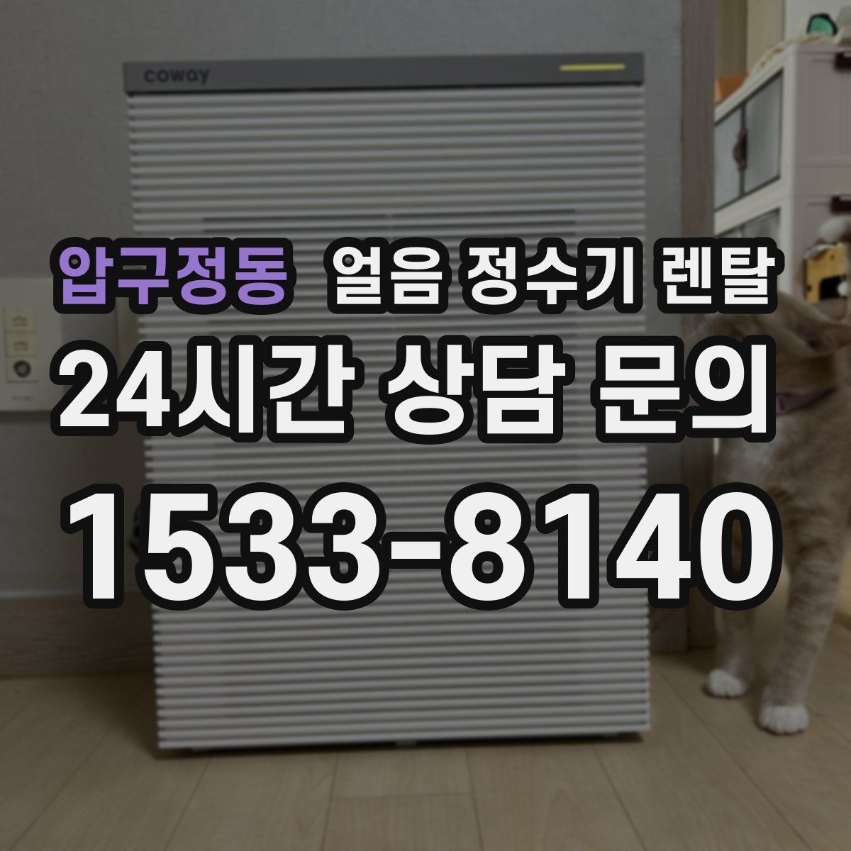 압구정동 얼음 정수기 렌탈