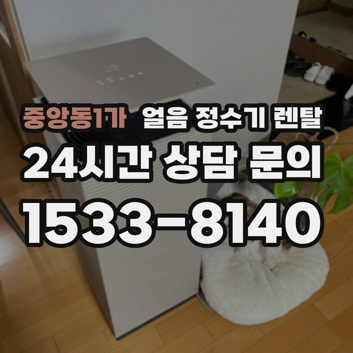 중앙동1가 얼음 정수기 렌탈 파티 모임 많은 집이 만족하는 포인트
