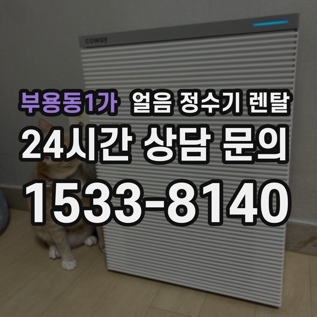 부용동1가 얼음 정수기 렌탈 집에서도 얼음이 바로 나오는 편리함