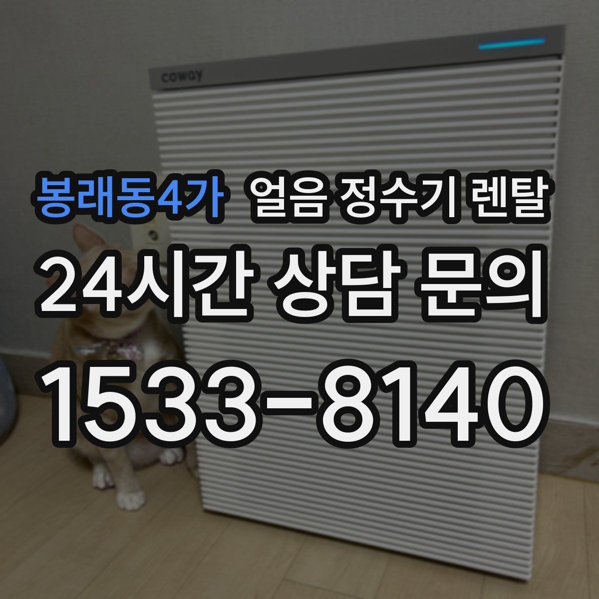 봉래동4가 얼음 정수기 렌탈 설치 후 첫 주에 해야 할 위생 관리