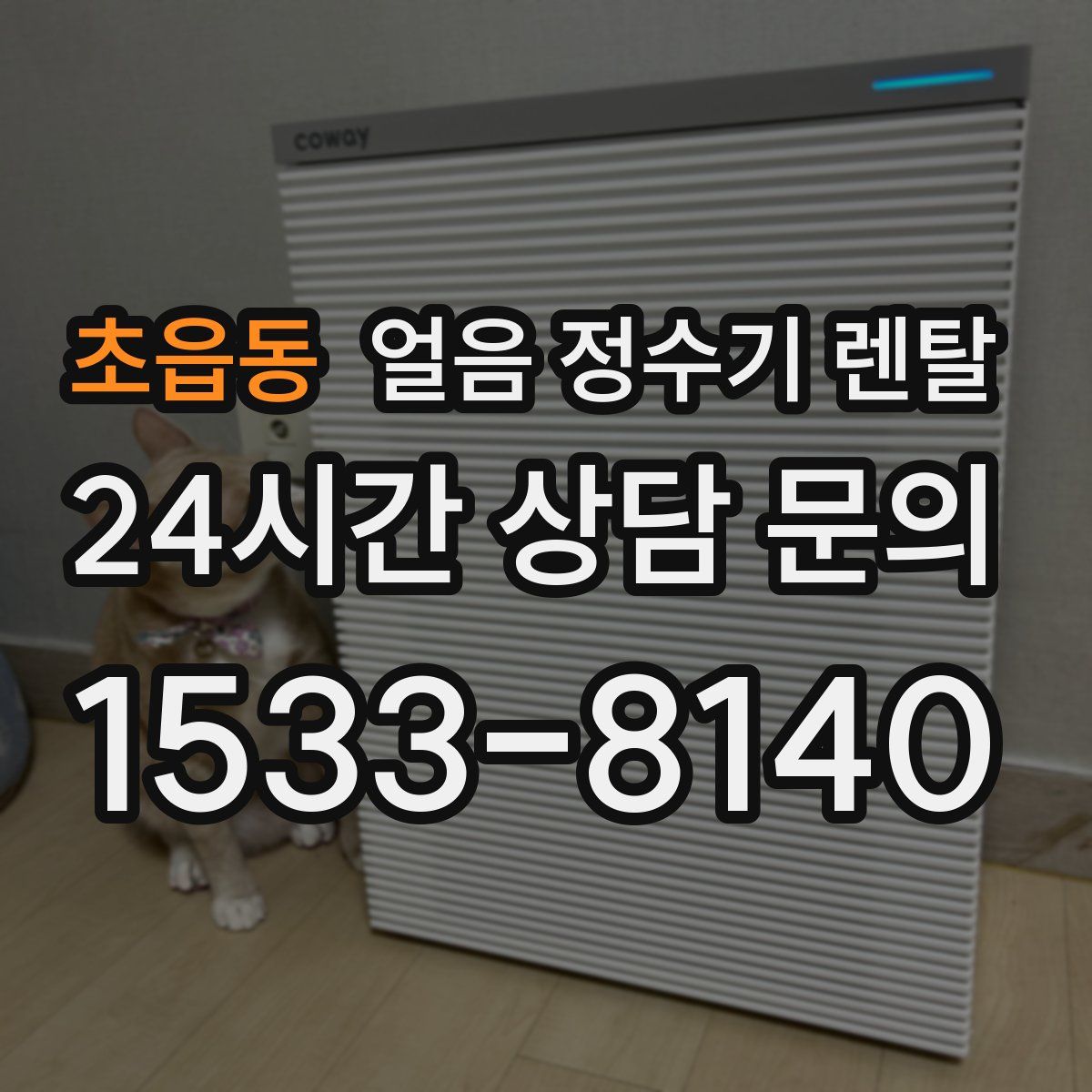 초읍동 얼음 정수기 렌탈