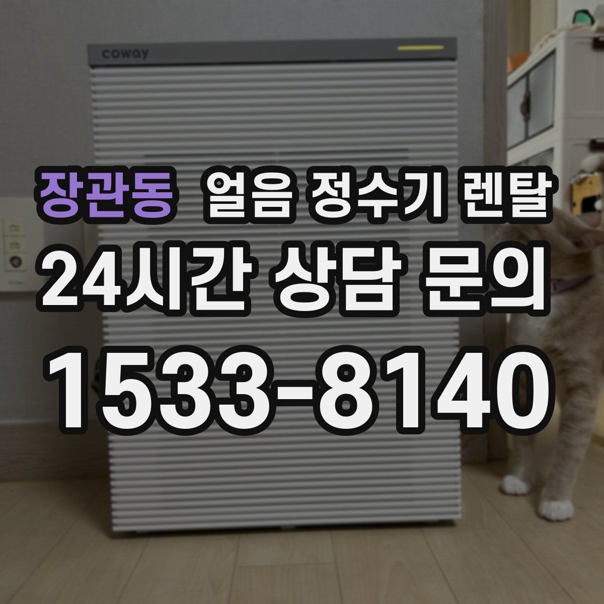 장관동 얼음 정수기 렌탈