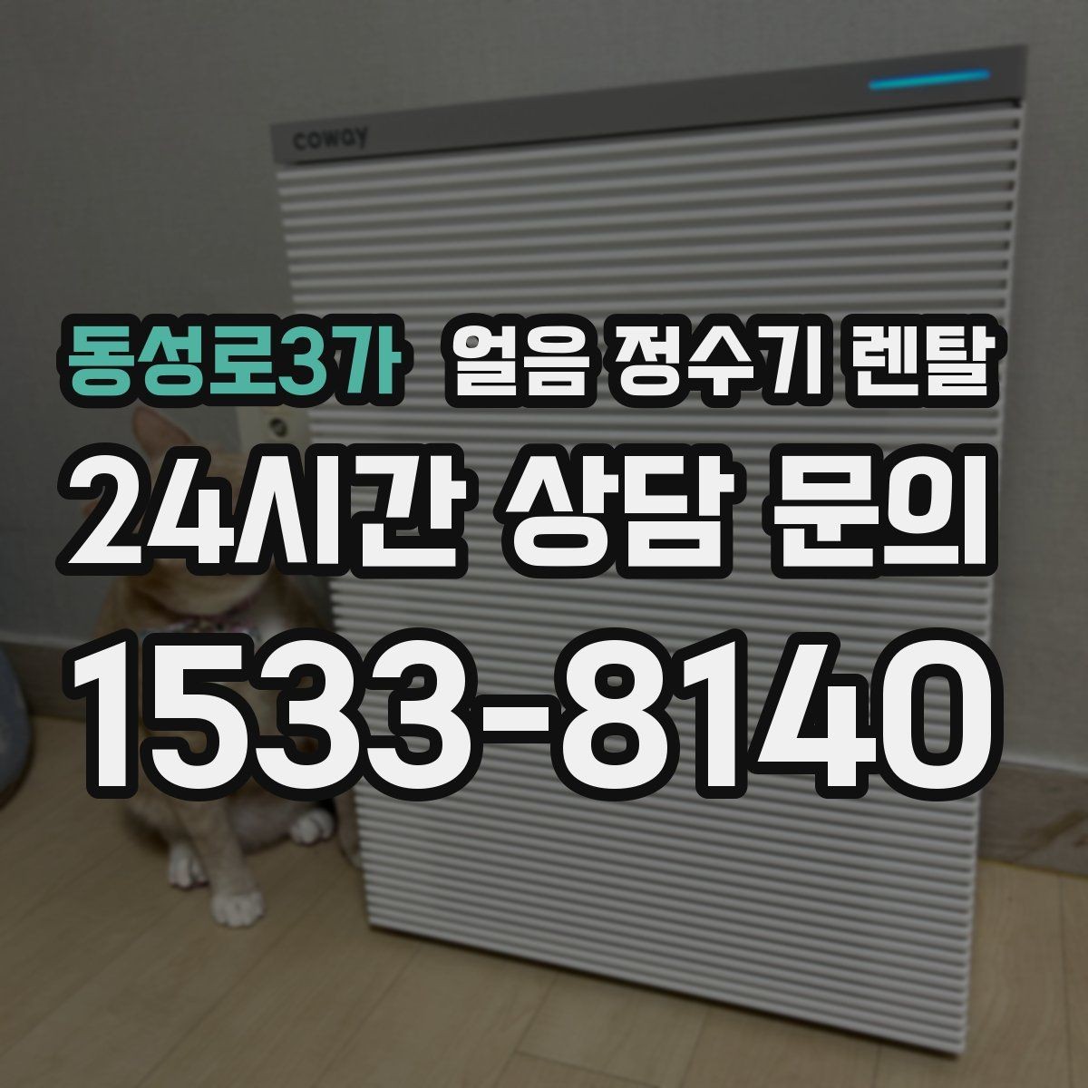 동성로3가 얼음 정수기 렌탈 얼음이 투명하지 않아도 괜찮을까