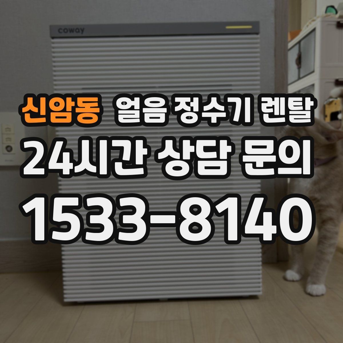 신암동 얼음 정수기 렌탈 사무실 매장에 설치하면 편한 이유
