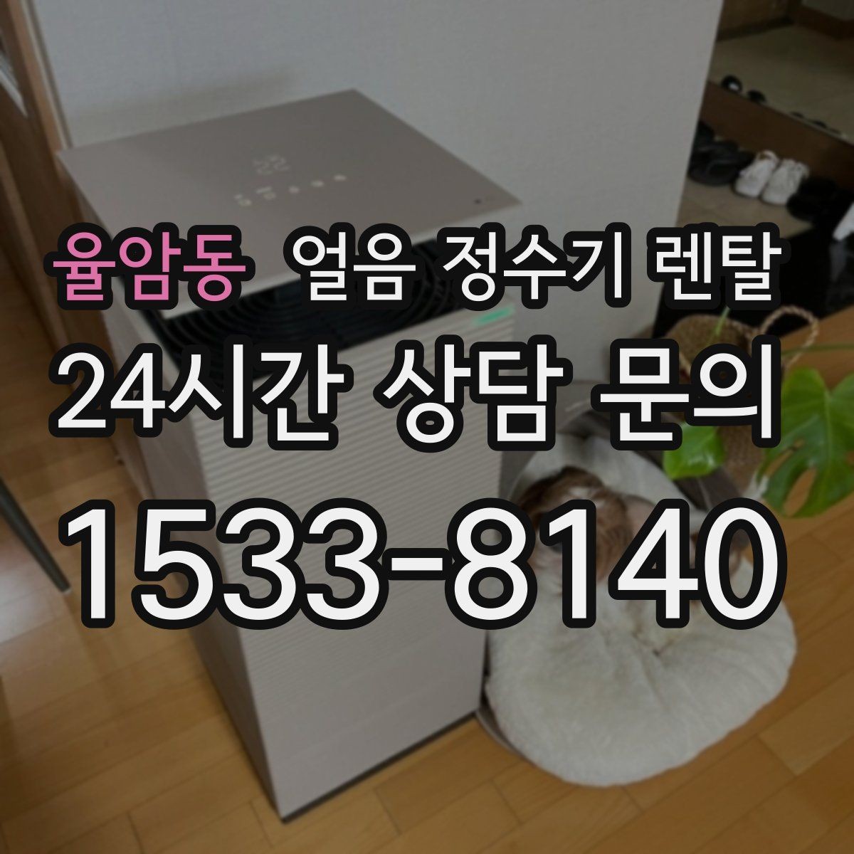 율암동 얼음 정수기 렌탈 손님 잦은 집이 만족하는 이유