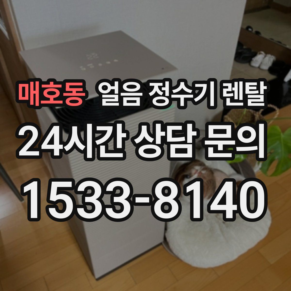 매호동 얼음 정수기 렌탈