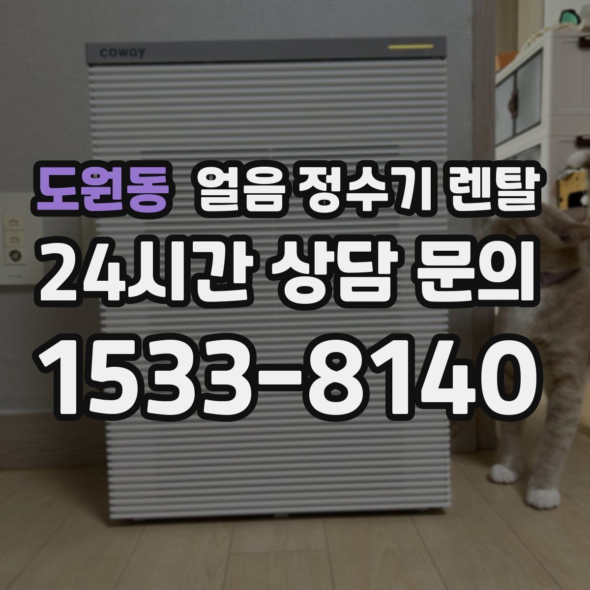 도원동 얼음 정수기 렌탈 얼음 통 분리 세척 가능한지 확인해야 하는 이유