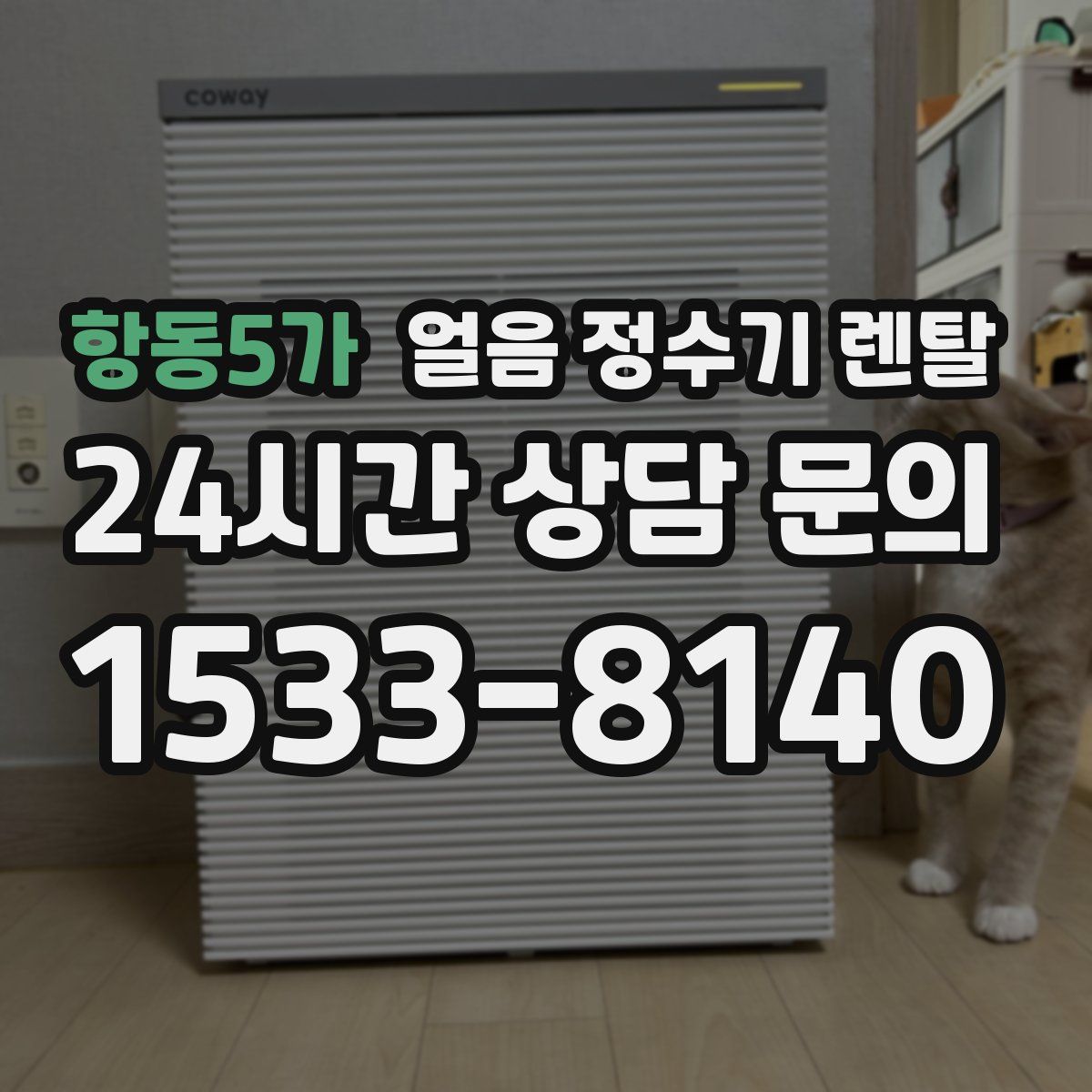 항동5가 얼음 정수기 렌탈