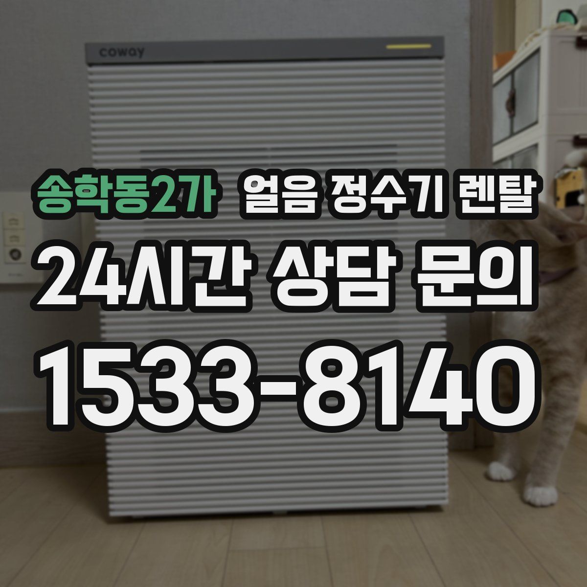 송학동2가 얼음 정수기 렌탈