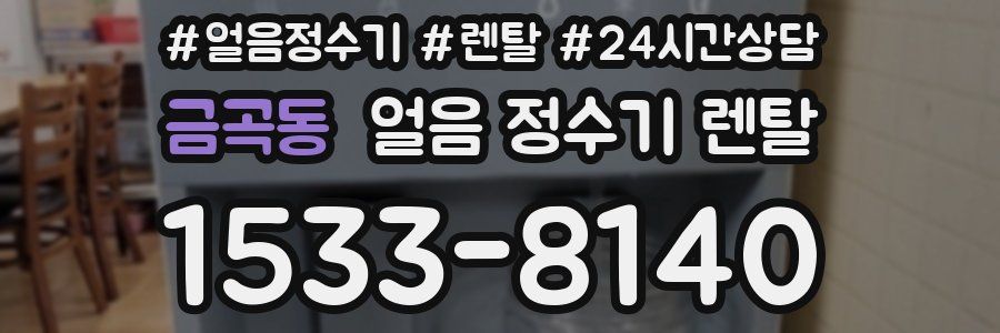 금곡동 얼음 정수기 렌탈
