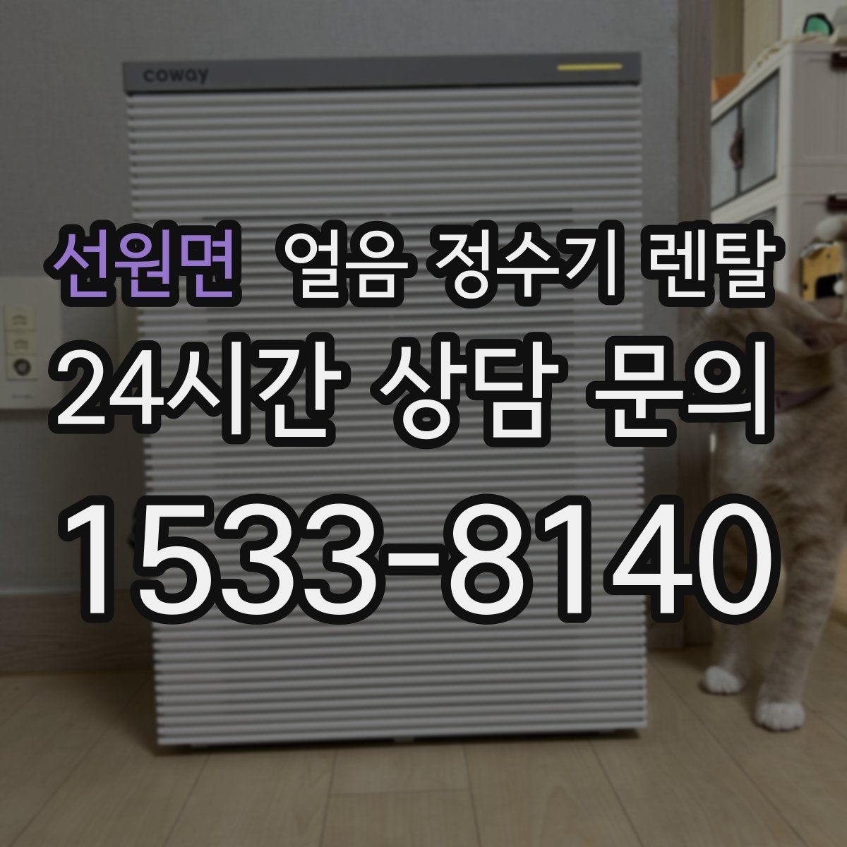 선원면 얼음 정수기 렌탈 얼음 출구가 좁으면 생기는 불편