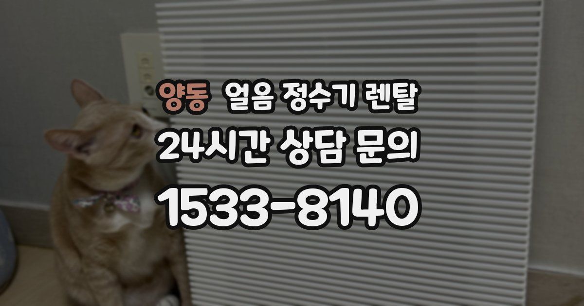 양동 얼음 정수기 렌탈