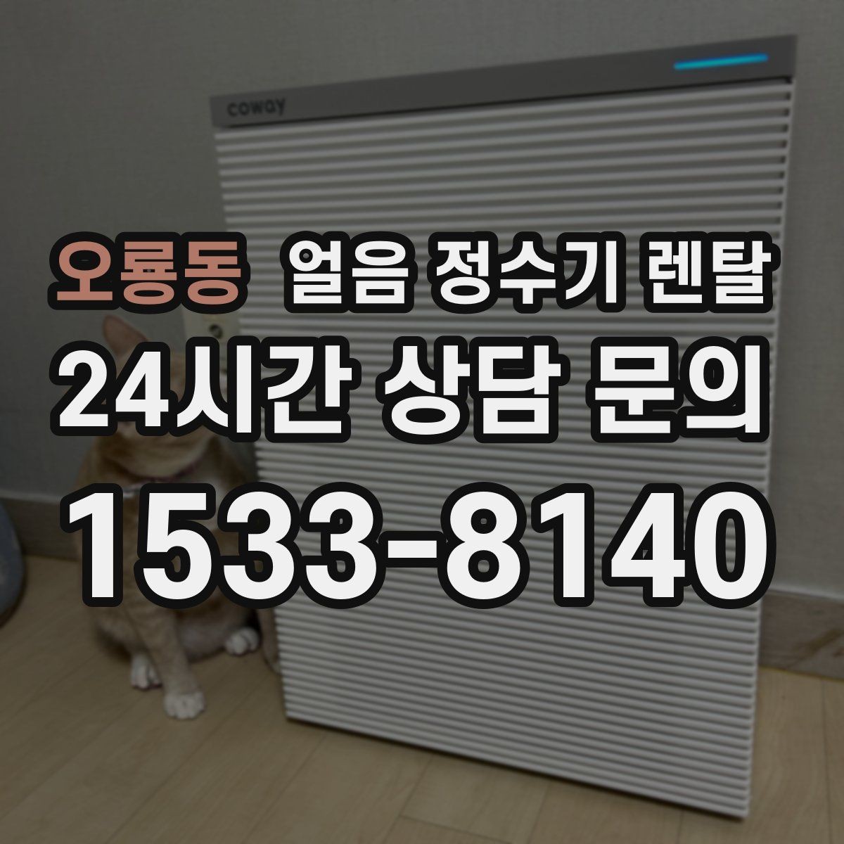 오룡동 얼음 정수기 렌탈 얼음과 탄산 조합이 편해지는 이유