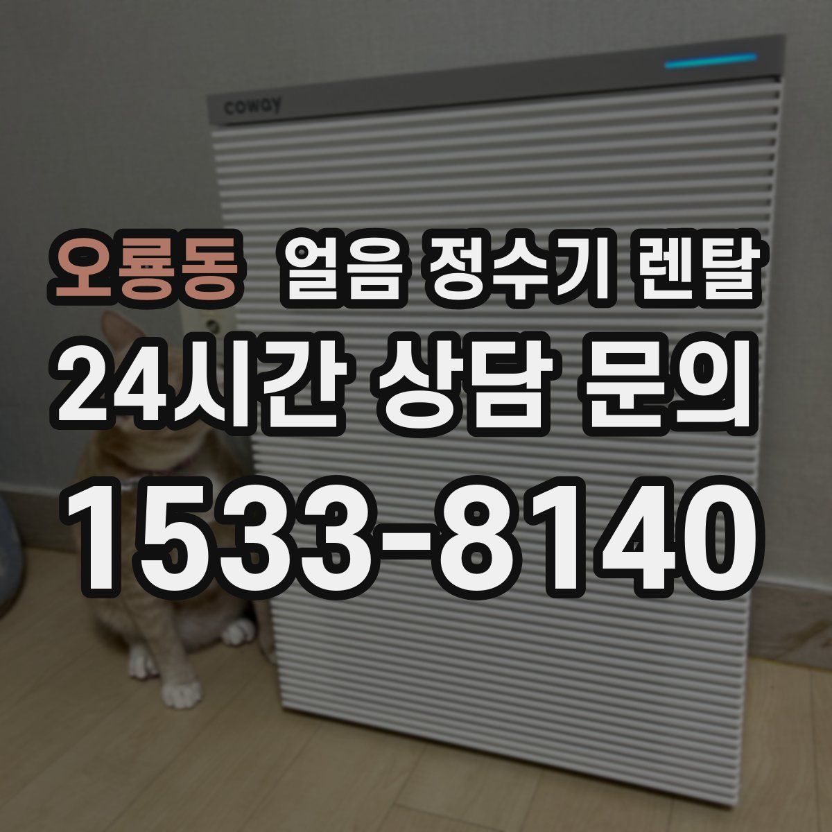 오룡동 얼음 정수기 렌탈