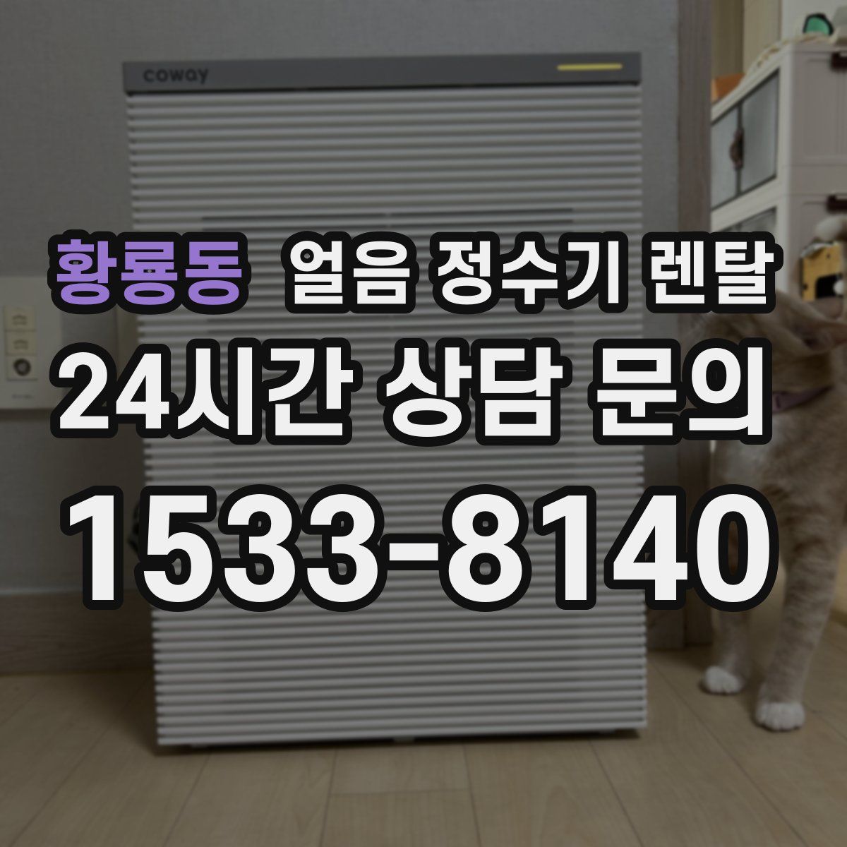 황룡동 얼음 정수기 렌탈