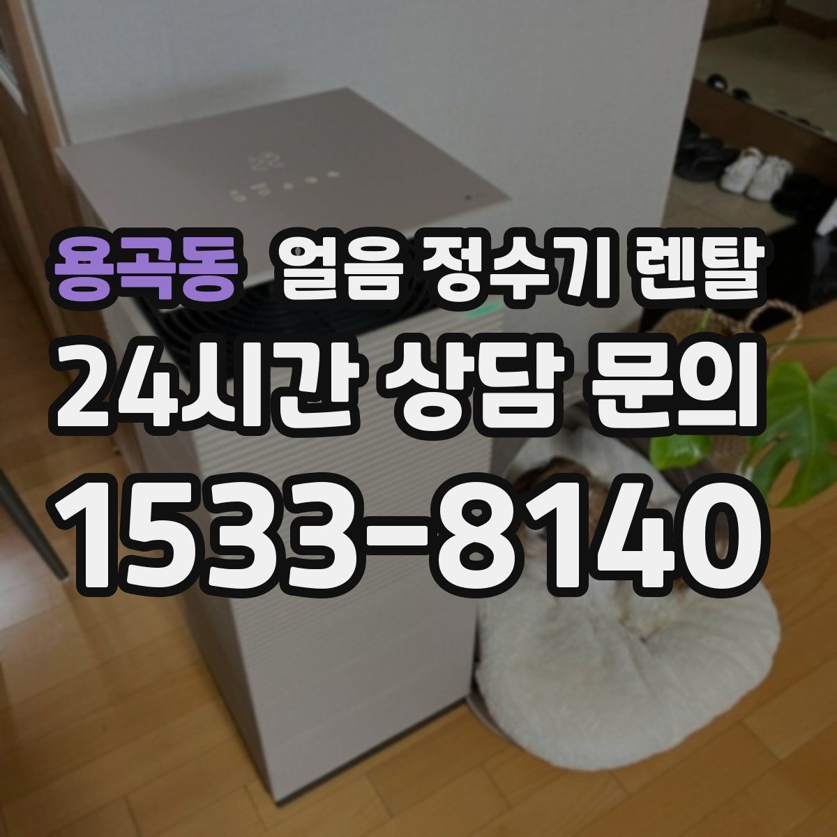 용곡동 얼음 정수기 렌탈