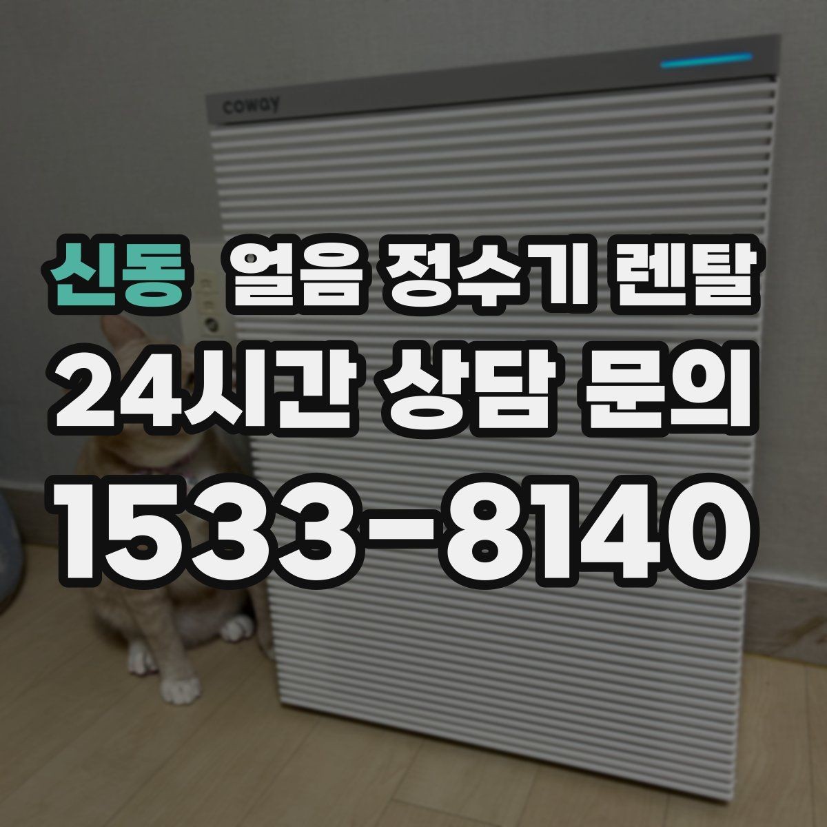 신동 얼음 정수기 렌탈 얼음이 뭉쳐 나오는 원인과 예방법
