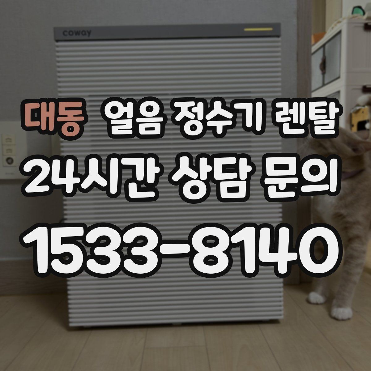 대동 얼음 정수기 렌탈 차가운 물과 얼음을 동시에 쓰는 집 추천