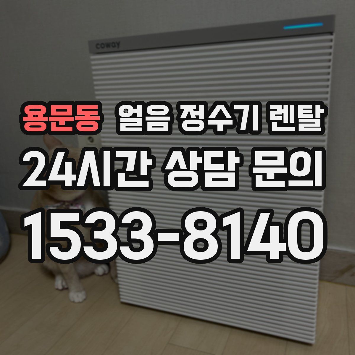 용문동 얼음 정수기 렌탈