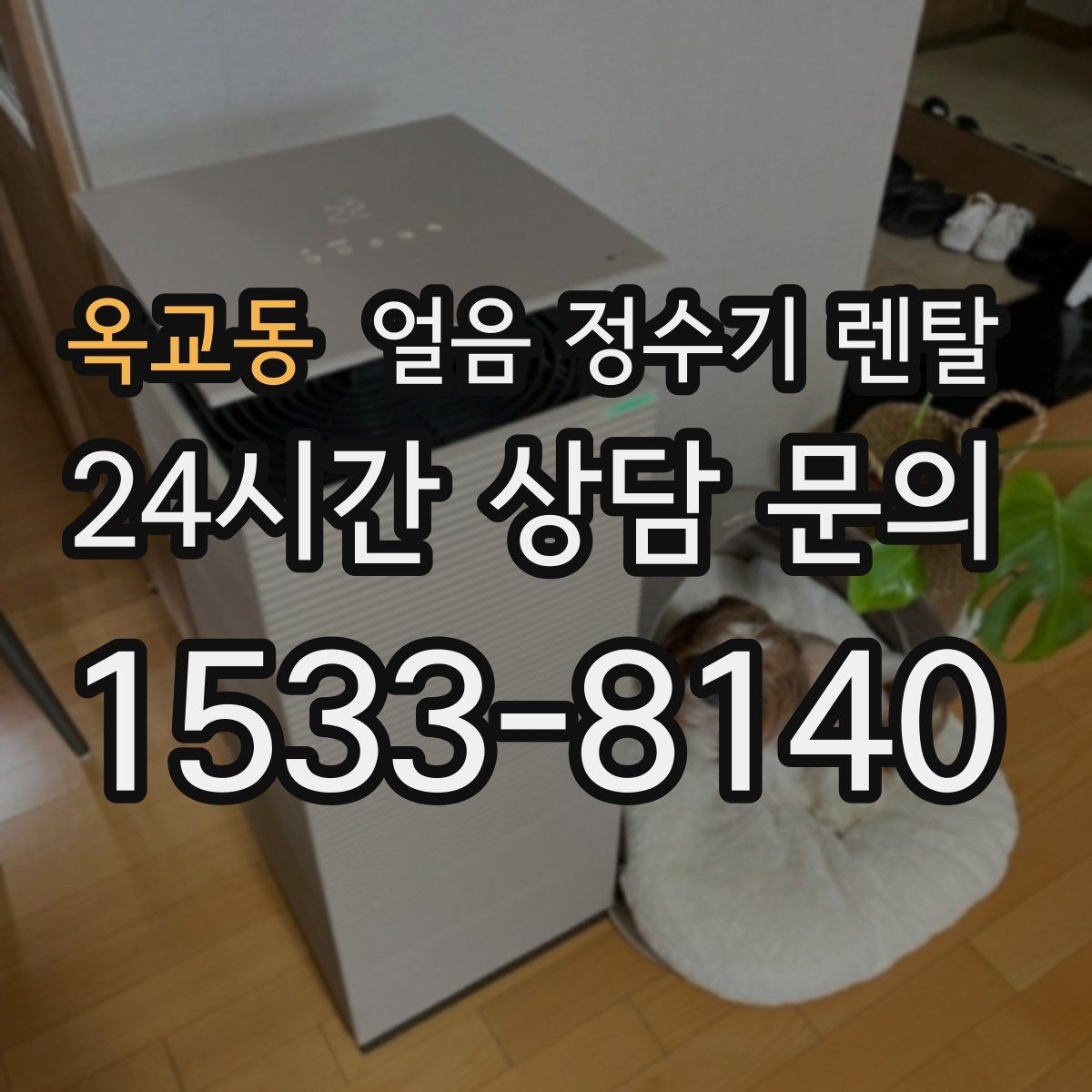 옥교동 얼음 정수기 렌탈 통풍이 막히면 소음 발열이 커지는 이유
