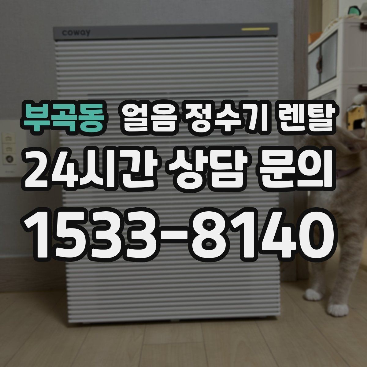 부곡동 얼음 정수기 렌탈 여름엔 물론 겨울에도 찾는 이유
