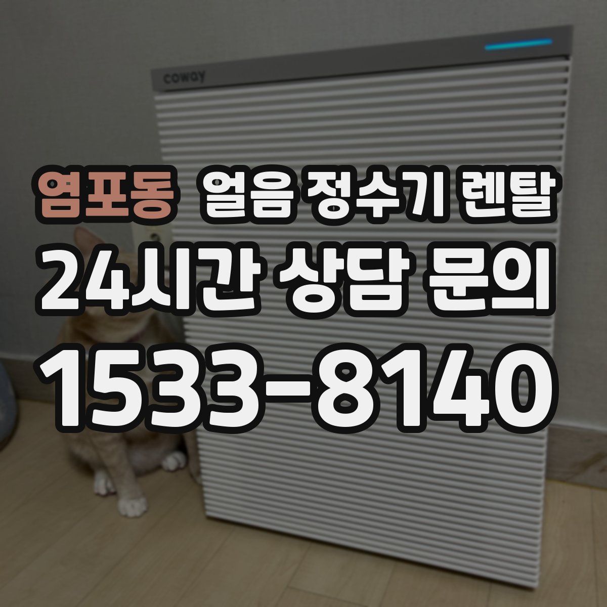 염포동 얼음 정수기 렌탈