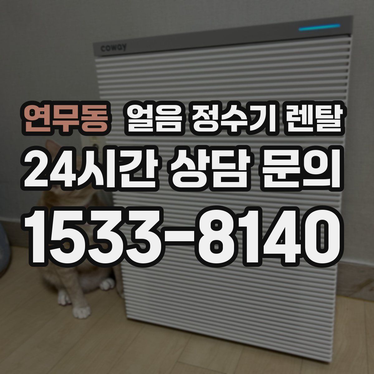 연무동 얼음 정수기 렌탈