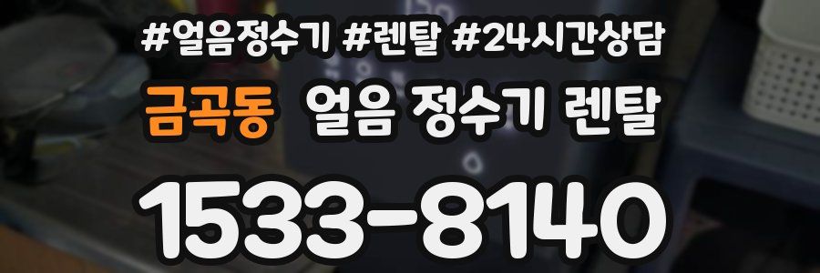 금곡동 얼음 정수기 렌탈