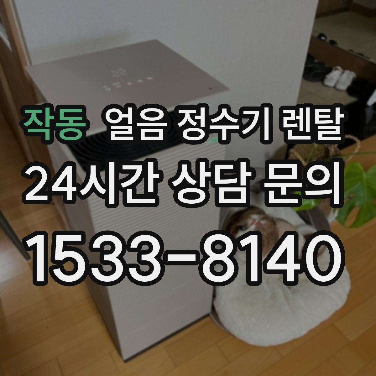 작동 얼음 정수기 렌탈