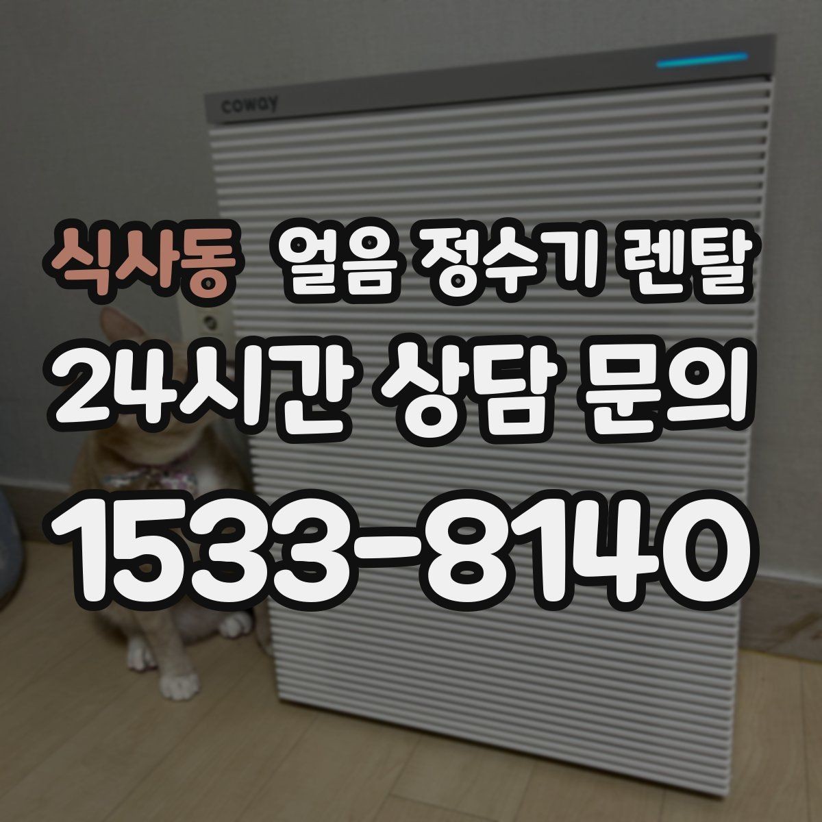 식사동 얼음 정수기 렌탈 냉동실 공간이 넓어지는 효과