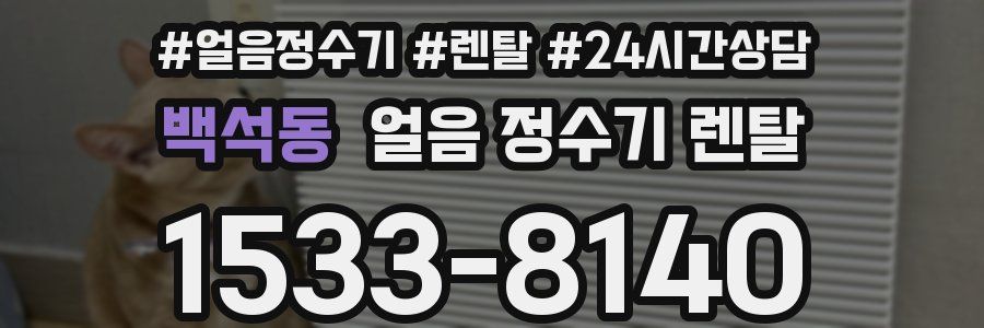 백석동 얼음 정수기 렌탈