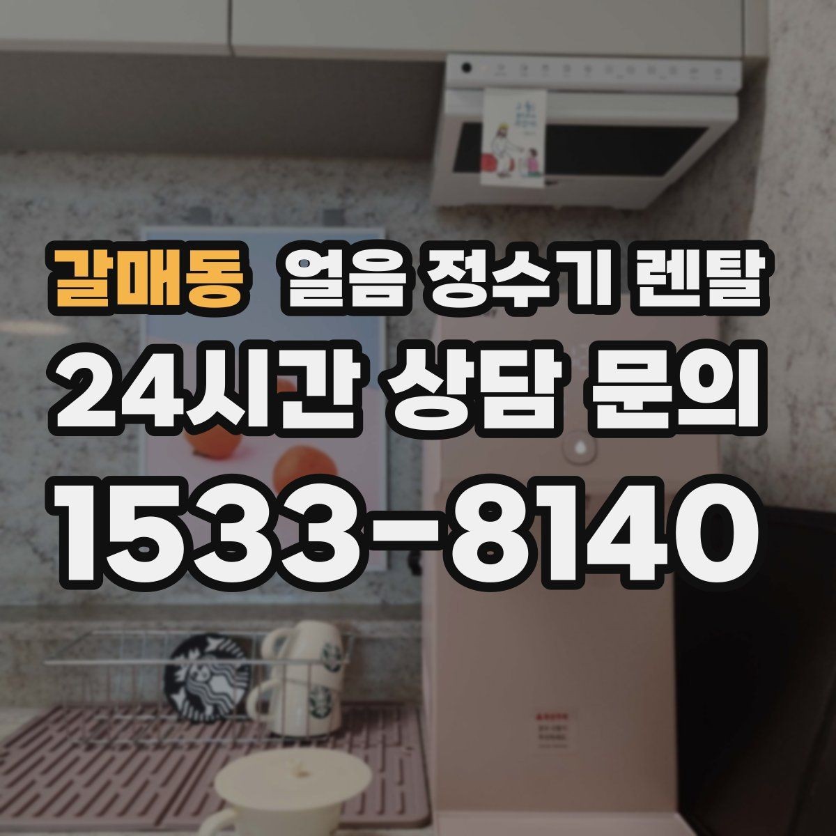 갈매동 얼음 정수기 렌탈 자동 세척 자동 살균 기능 비교 포인트