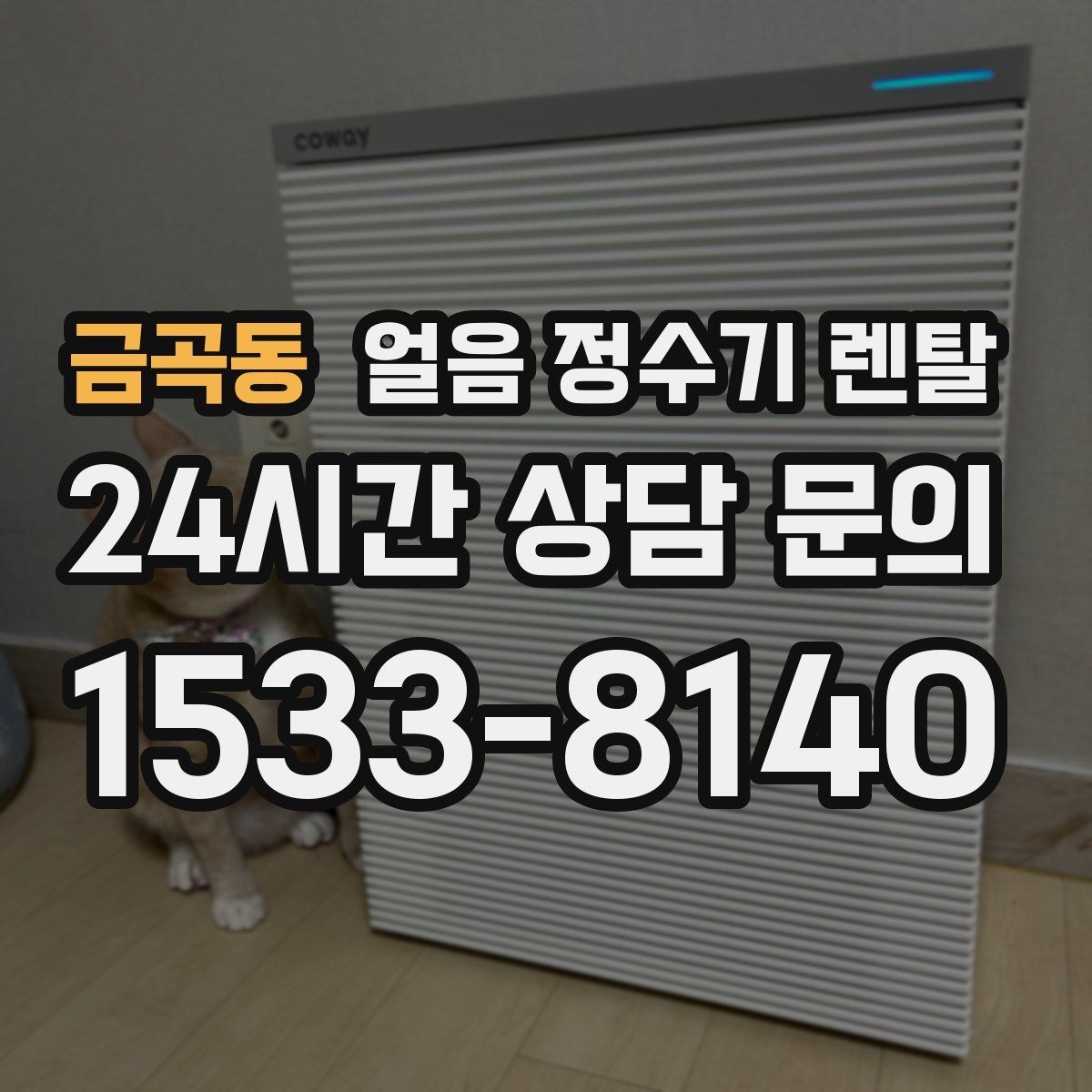 금곡동 얼음 정수기 렌탈 필터 교체 시기가 얼음 맛에 영향을 주는 이유