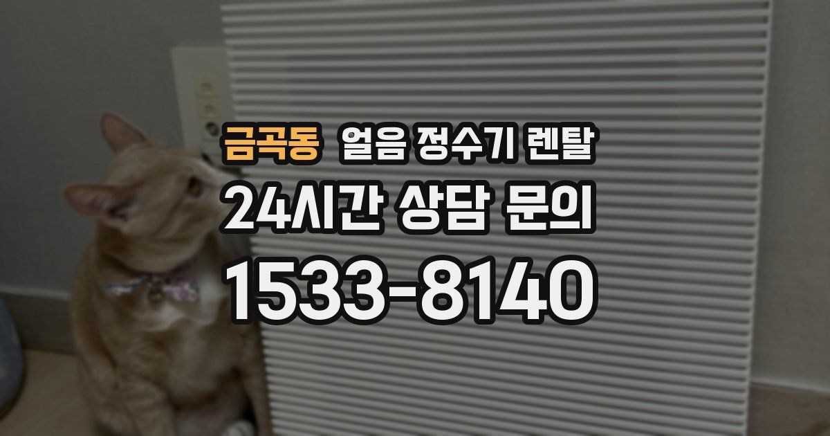 금곡동 얼음 정수기 렌탈